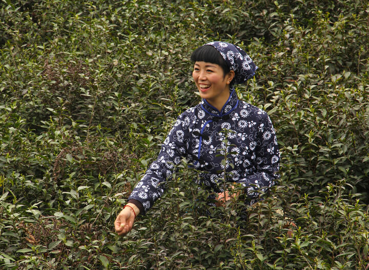 牡丹嘉年华 现场